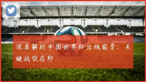 深度解析中国世界杯出线前景:关键战役在即