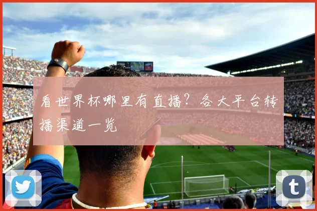 看世界杯哪里有直播？各大平台转播渠道一览