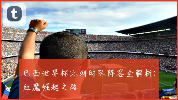 巴西世界杯比利时队阵容全解析:红魔崛起之路