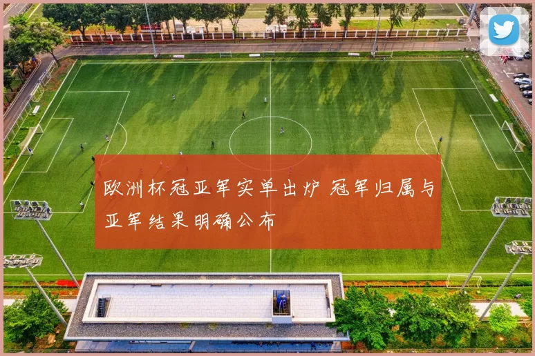 欧洲杯冠亚军实单出炉 冠军归属与亚军结果明确公布