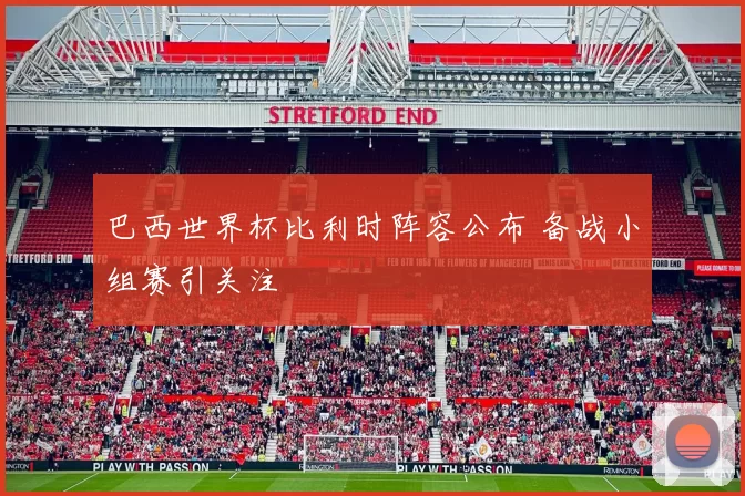 巴西世界杯比利时阵容公布 备战小组赛引关注