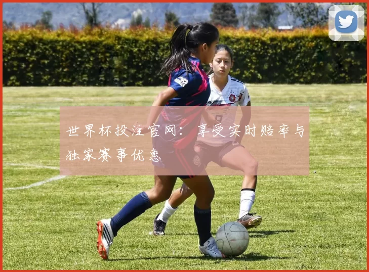 世界杯投注官网：享受实时赔率与独家赛事优惠