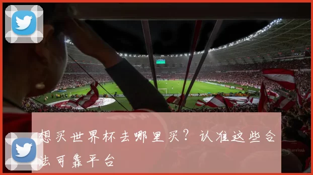 想买世界杯去哪里买?认准这些合法可靠平台