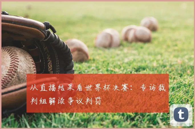 从直播结果看世界杯决赛:专访裁判组解读争议判罚