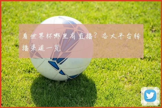看世界杯哪里有直播?各大平台转播渠道一览