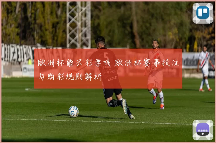 欧洲杯能买彩票吗 欧洲杯赛事投注与购彩规则解析
