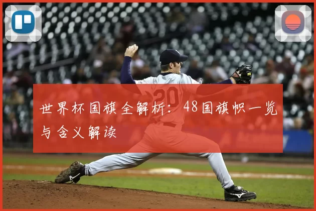 世界杯国旗全解析：48国旗帜一览与含义解读