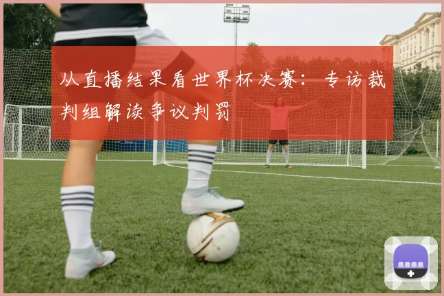 从直播结果看世界杯决赛：专访裁判组解读争议判罚