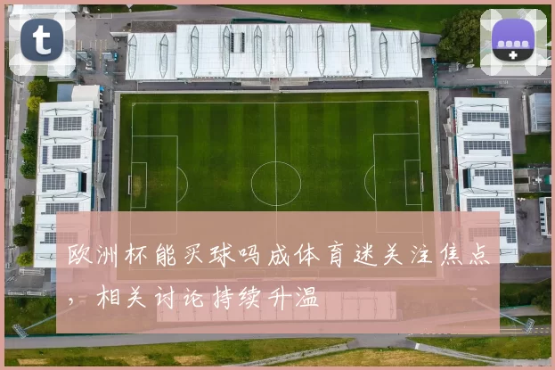 欧洲杯能买球吗成体育迷关注焦点,相关讨论持续升温