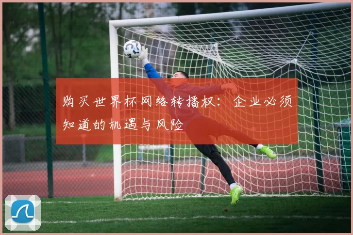 购买世界杯网络转播权：企业必须知道的机遇与风险