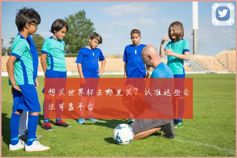 想买世界杯去哪里买?认准这些合法可靠平台