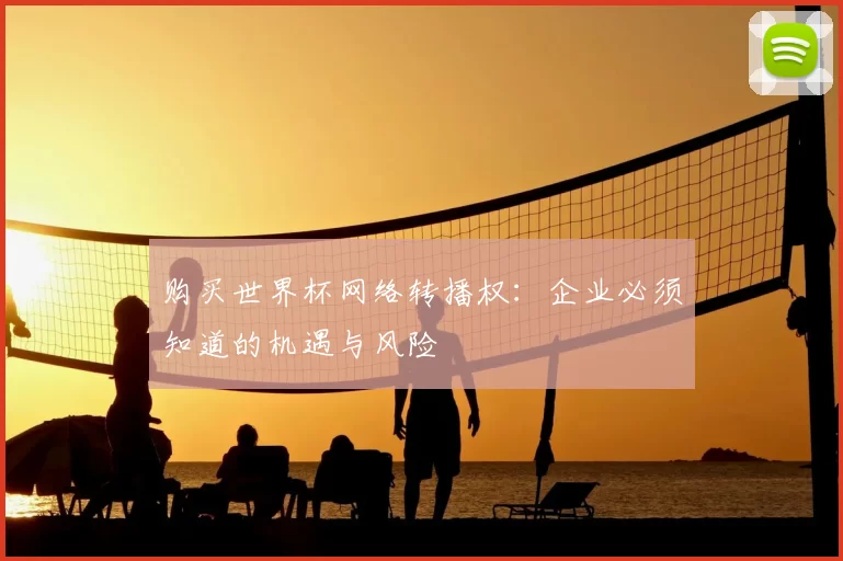 购买世界杯网络转播权:企业必须知道的机遇与风险