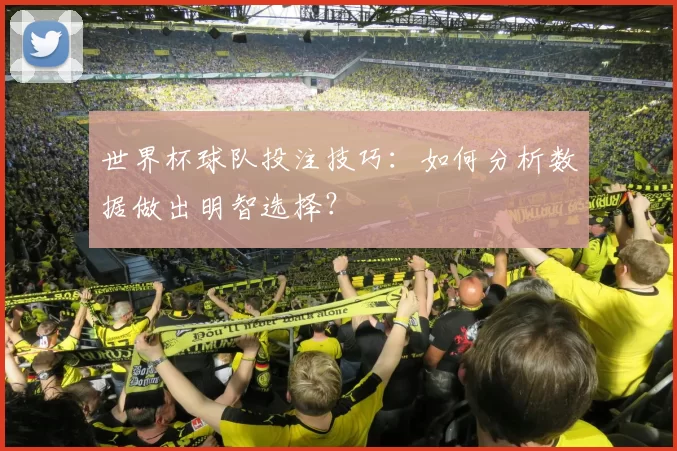 世界杯球队投注技巧:如何分析数据做出明智选择?